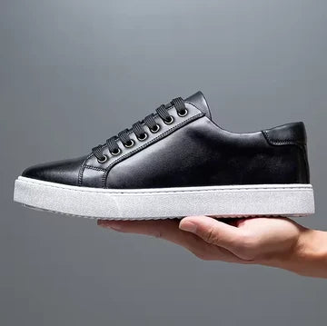 David- Zapatos de piel