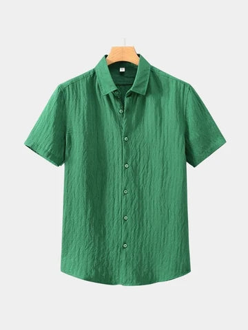 Alfredo- Camisa de lino